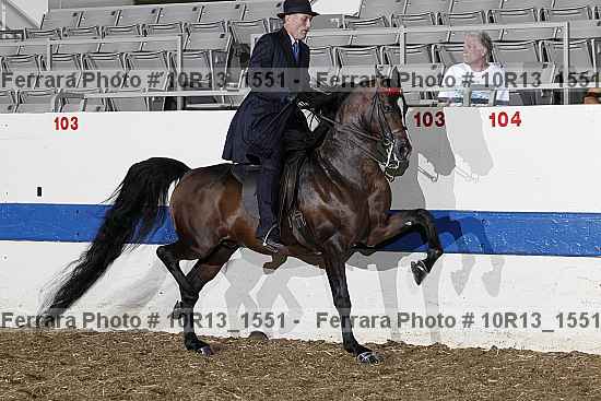 Proof Number 10r13_1551