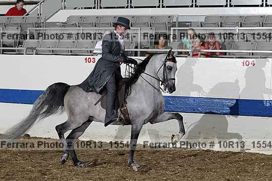 Proof Number 10r13_1554