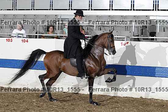 Proof Number 10r13_1555