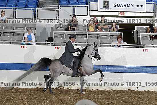 Proof Number 10r13_1556