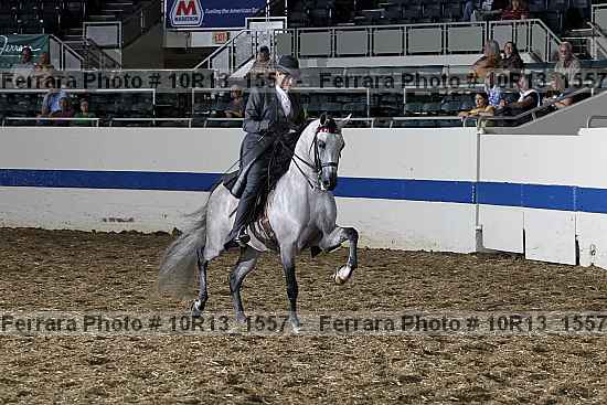 Proof Number 10r13_1557