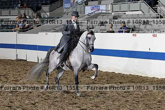 Proof Number 10r13_1558