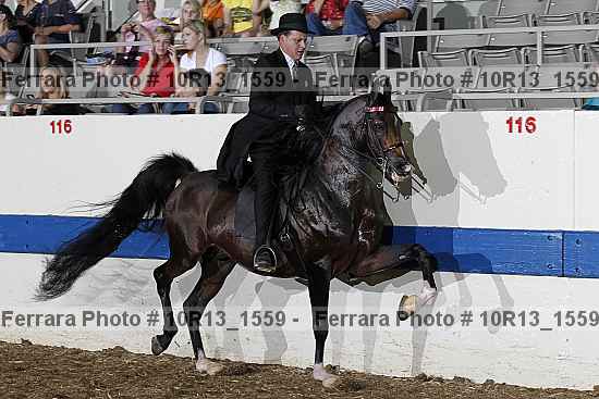 Proof Number 10r13_1559