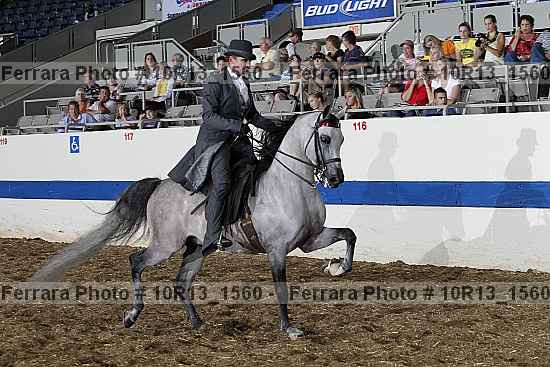 Proof Number 10r13_1560