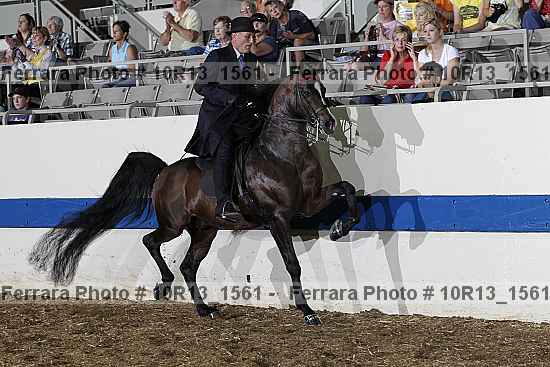 Proof Number 10r13_1561