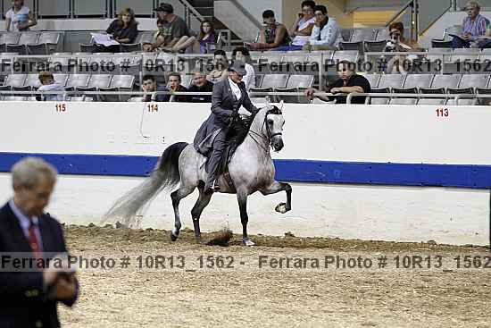 Proof Number 10r13_1562