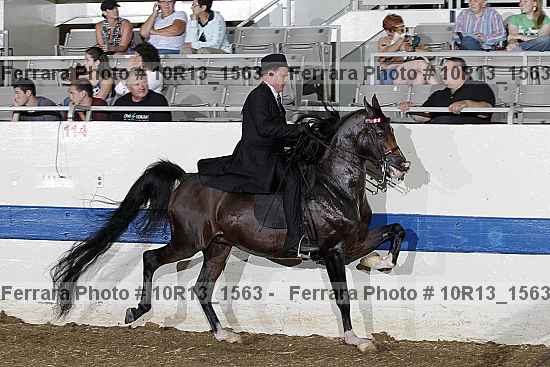 Proof Number 10r13_1563
