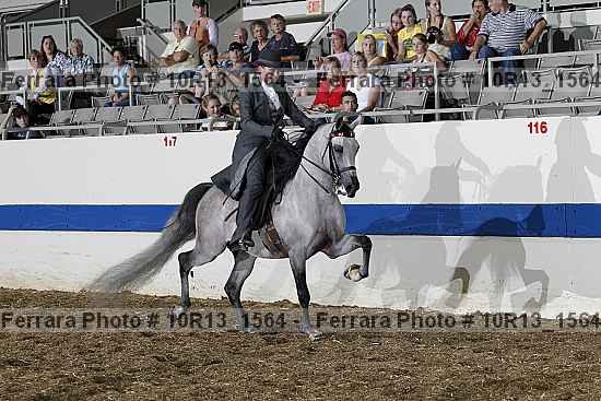 Proof Number 10r13_1564