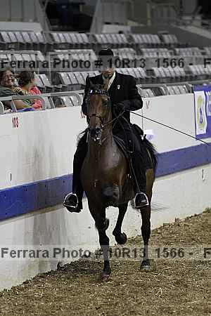 Proof Number 10r13_1566
