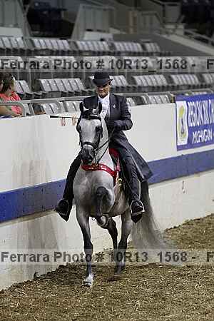 Proof Number 10r13_1568