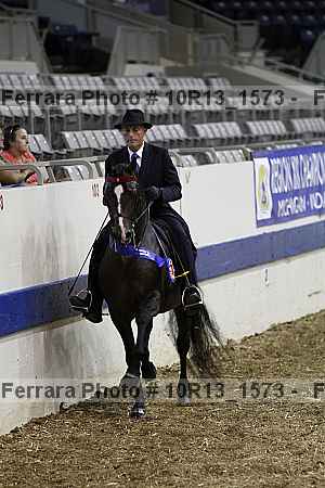 Proof Number 10r13_1573