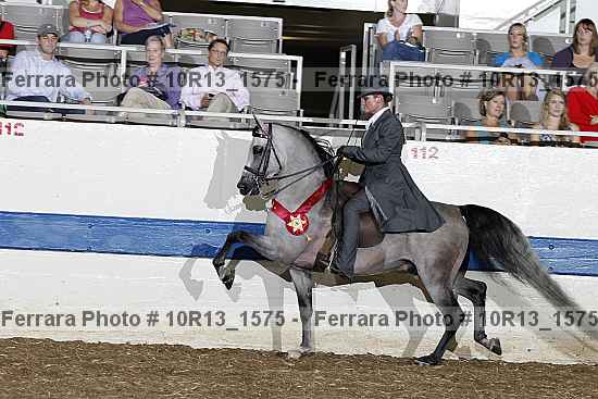 Proof Number 10r13_1575
