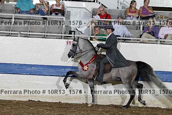 Proof Number 10r13_1576