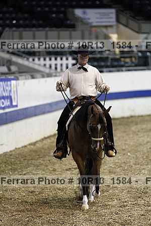 Proof Number 10r13_1584