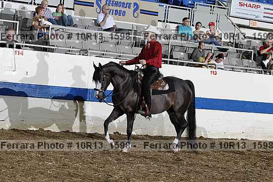 Proof Number 10r13_1598