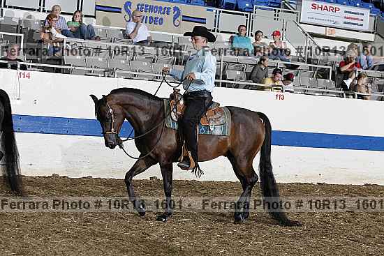 Proof Number 10r13_1601