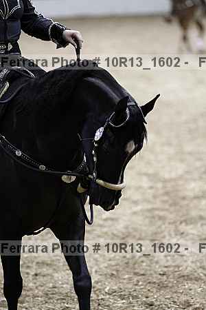 Proof Number 10r13_1602