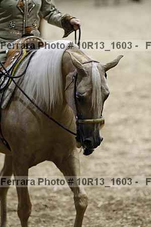 Proof Number 10r13_1603