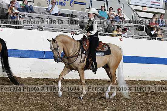 Proof Number 10r13_1604