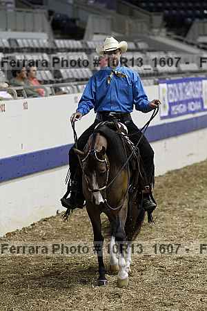 Proof Number 10r13_1607