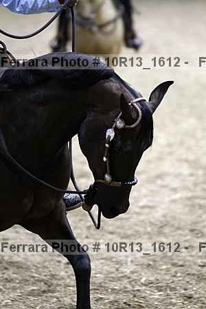 Proof Number 10r13_1612