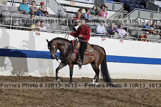 Proof Number 10r13_1613
