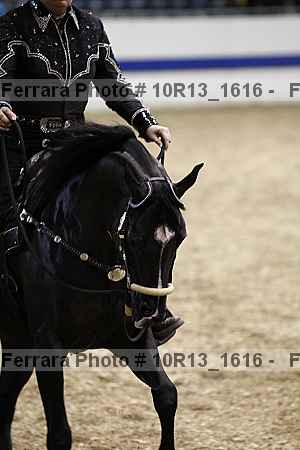 Proof Number 10r13_1616