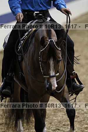 Proof Number 10r13_1617