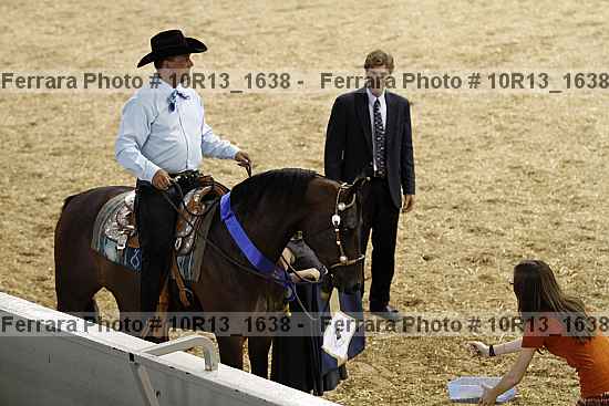 Proof Number 10r13_1638