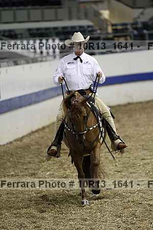 Proof Number 10r13_1641