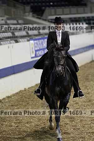 Proof Number 10r13_1669