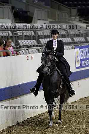 Proof Number 10r13_1681