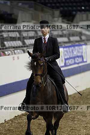 Proof Number 10r13_1687