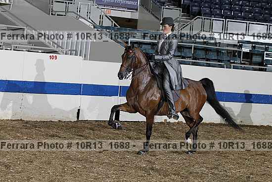 Proof Number 10r13_1688