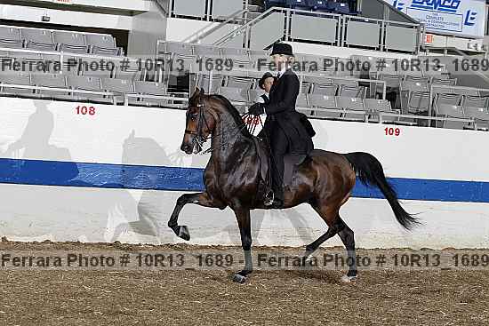 Proof Number 10r13_1689