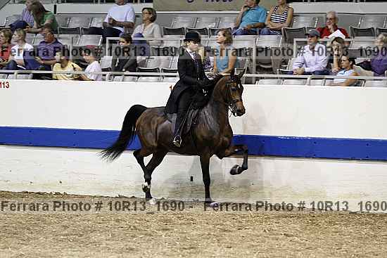 Proof Number 10r13_1690