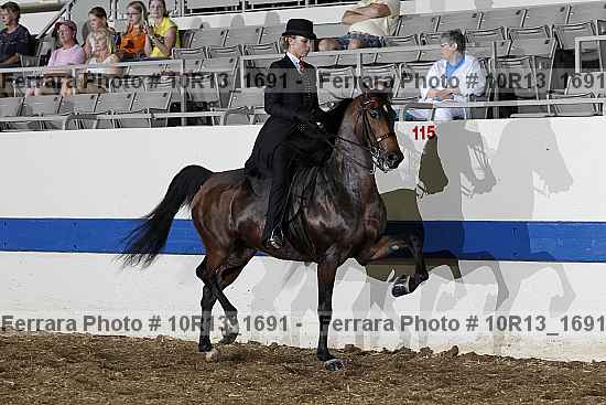 Proof Number 10r13_1691