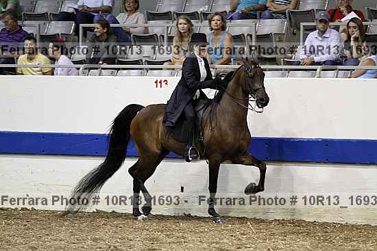Proof Number 10r13_1693