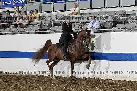 Proof Number 10r13_1695