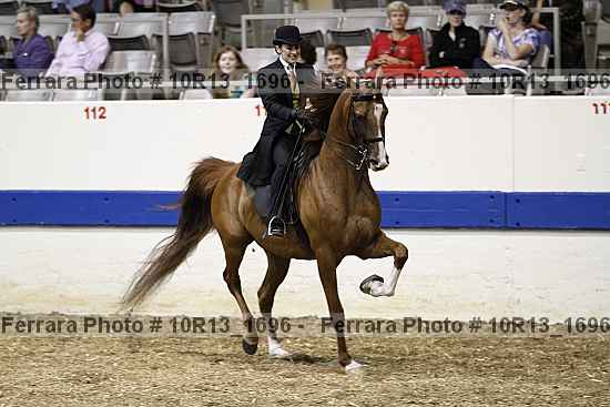Proof Number 10r13_1696
