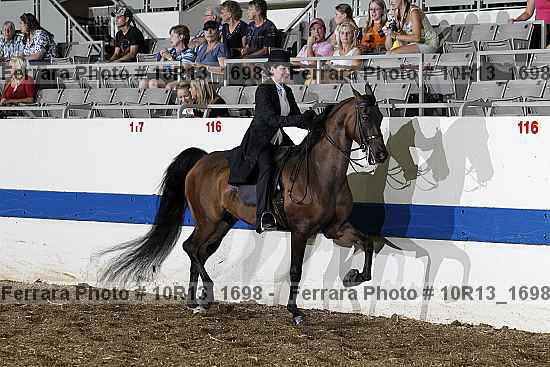 Proof Number 10r13_1698
