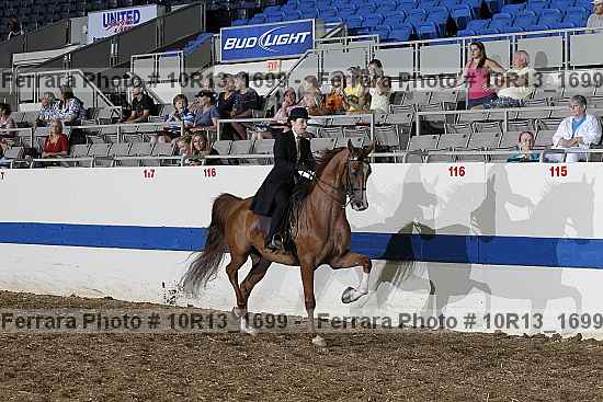 Proof Number 10r13_1699