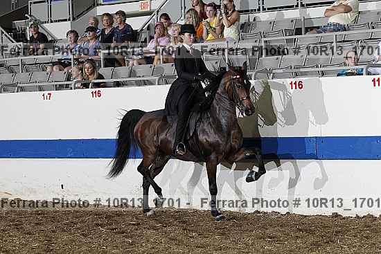 Proof Number 10r13_1701