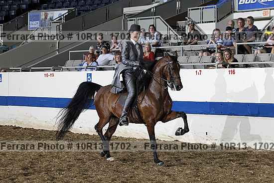 Proof Number 10r13_1702