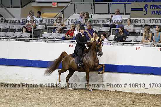 Proof Number 10r13_1703