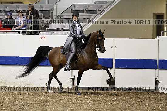 Proof Number 10r13_1706