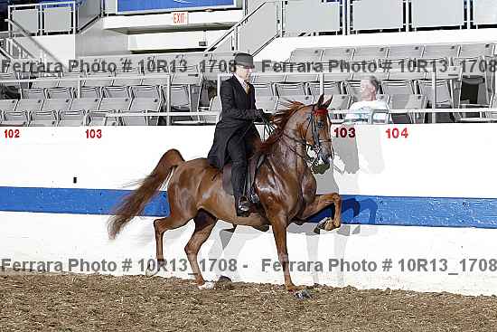 Proof Number 10r13_1708