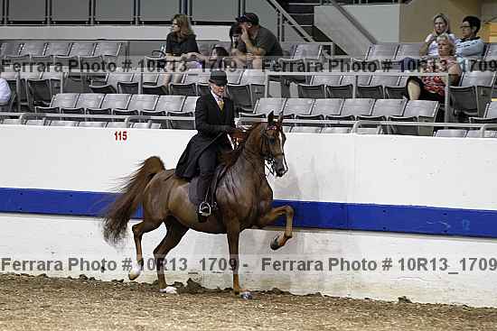 Proof Number 10r13_1709