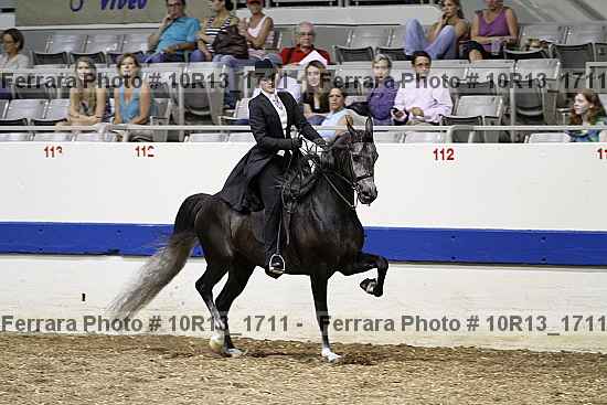 Proof Number 10r13_1711