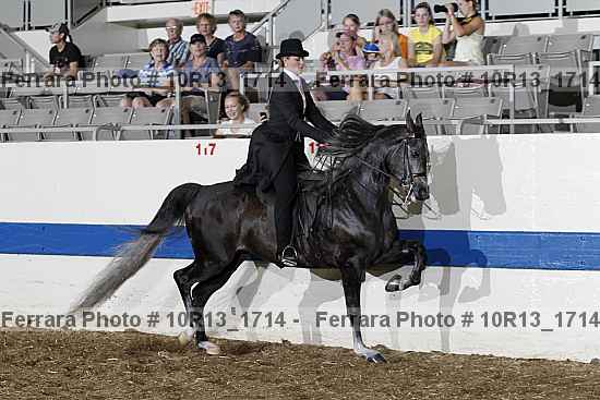 Proof Number 10r13_1714